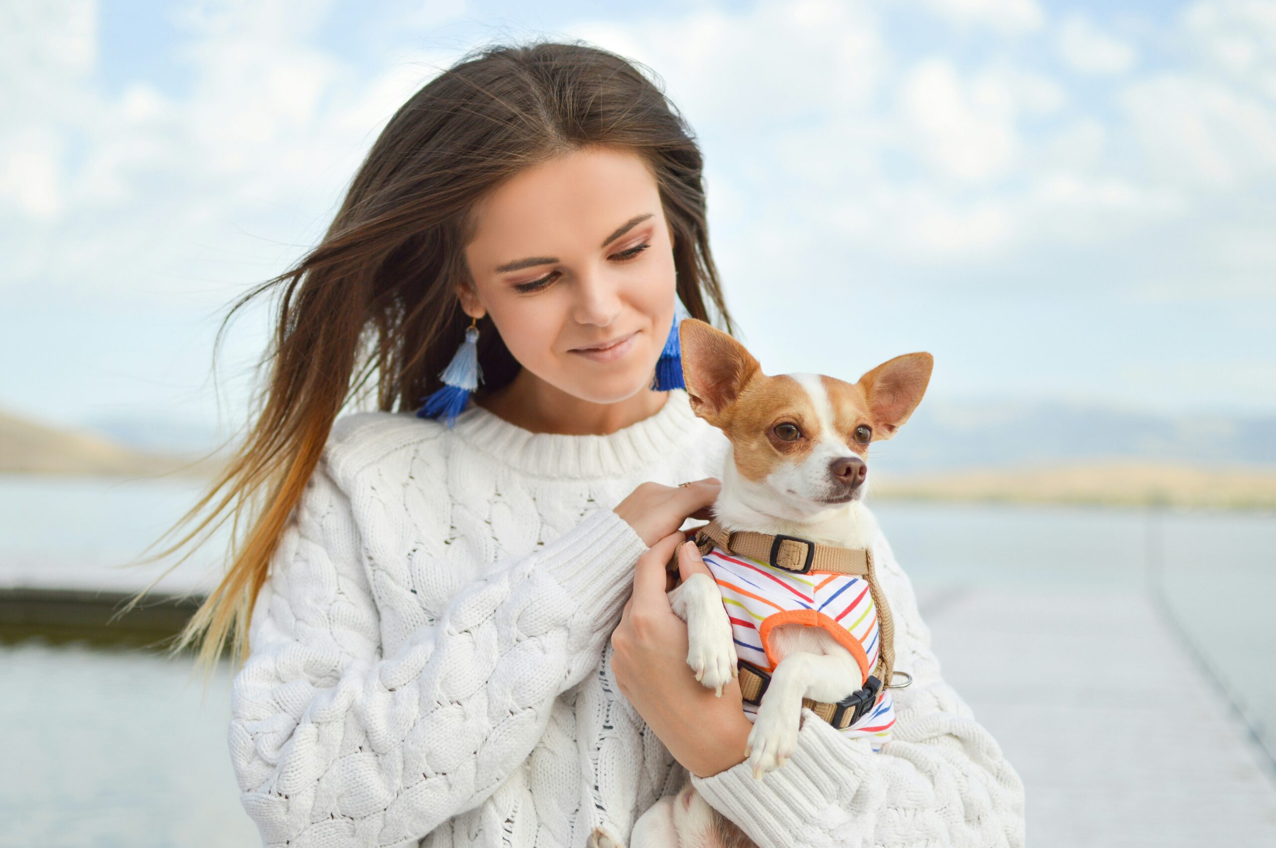 SEO Optimization for Pet Supplies Content