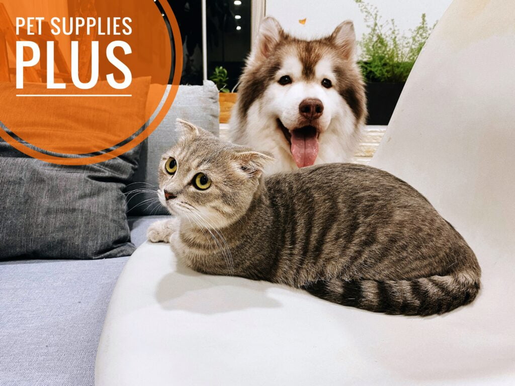 Pet Supplies Plus